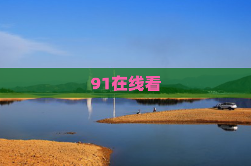 91在线看
